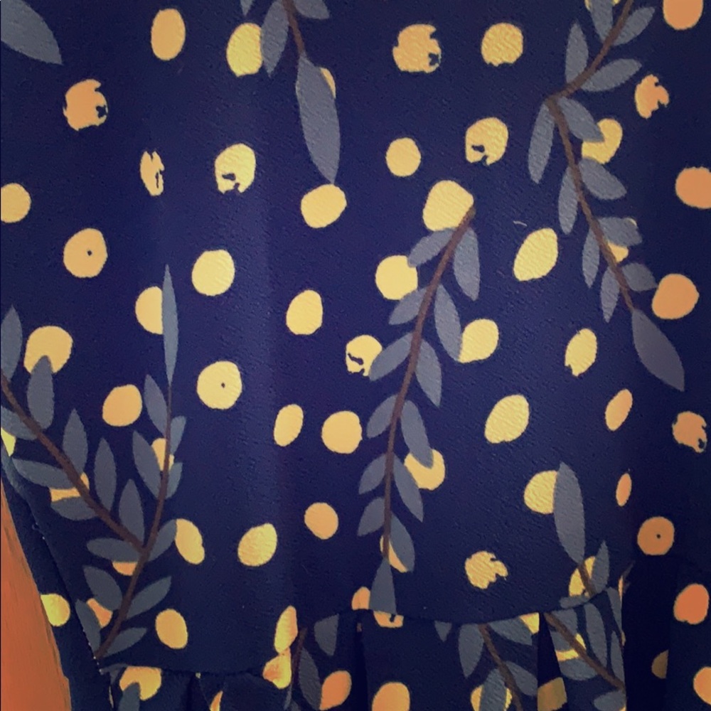 Lularoe Amelia dress